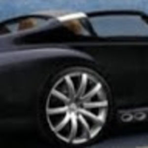 Meet your Posher, Z. zenobia